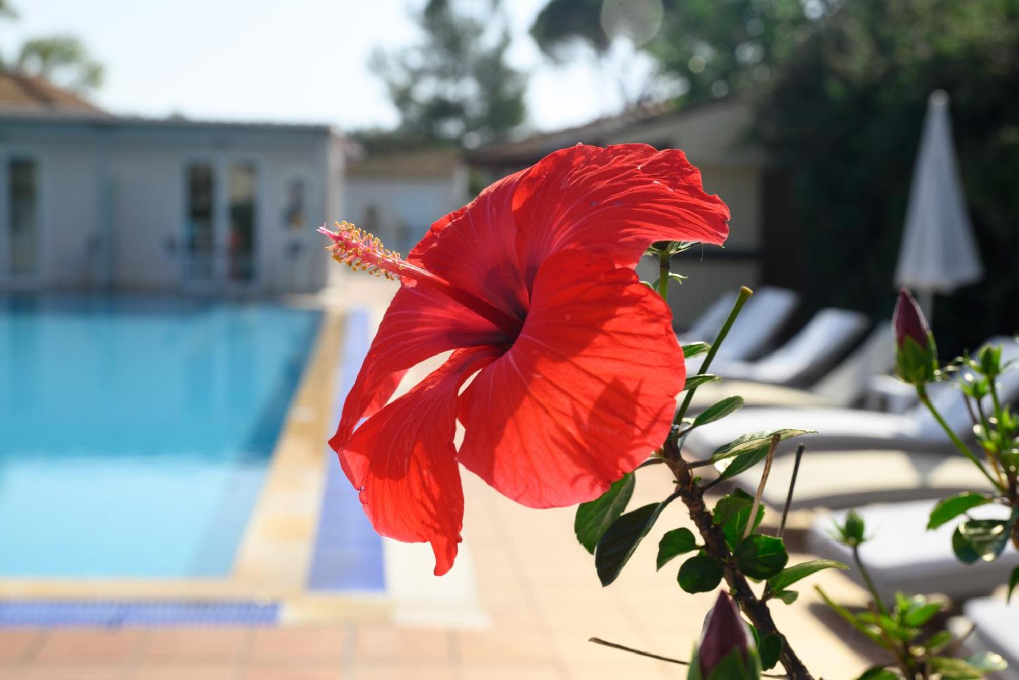 Hotel Cavomarina